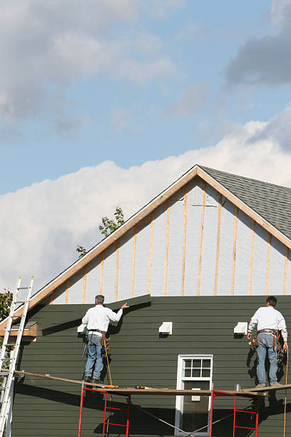 Best Vinyl Siding Installation  in Mount Pleasant, SC